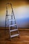 Step ladder