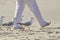 Step in Time! Unique fun sea birds seagulls walking in time with person on beach