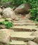 step towards the nature