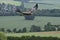 Steppe Eagle in Flight