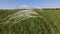 The steppe feather grass flutters beautifully in the wind