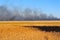 Steppe fire. Burning dry grass, fire smoke