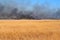 Steppe fire. Burning dry grass, fire smoke