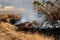 steppe fires during severe drought completely destroy fields. Disaster causes regular damage to environment and economy of region