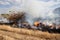 steppe fires during severe drought completely destroy fields. Disaster causes regular damage to environment and economy of region