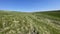 Steppe - Grasslands - Landscape mosaic