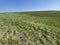 Steppe - Grasslands - Landscape mosaic