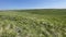 Steppe - Grasslands - Landscape mosaic