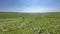 Steppe - Grasslands - Landscape mosaic