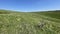 Steppe - Grasslands - Landscape mosaic