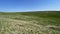 Steppe - Grasslands - Landscape mosaic