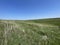 Steppe - Grasslands - Landscape mosaic