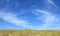 Steppe landscape with a blue sky above