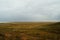 Steppe landscape. Lonely green plants on dry, hot sand