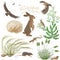 Steppe Plants and Animals Set