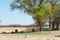 steppe, prairie, veldt, veld