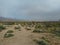 Steppe with some bushes in Texas