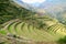 Stepped Agriculture Terrace in Archaeological site of Pisac with a Lot of Visitor, Sacred Valley of Cusco region, Peru