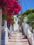 Stepped Path, Skyros Greek Island