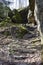 Stepped rock passage at Niagara Glen, natural rock formation