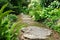 Stepping Stone Garden Path