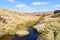 Stepping stones across Burbage Brook in the Derbyshire Peak District
