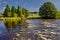 Stepping stones across river