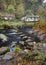 Stepping stones in an autumn woodland scene