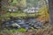 Stepping stones in an autumn woodland scene