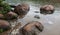 Stepping Stones in the Devil`s Swimming Hole. Oct. 2018