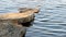 Stepping stones of flat natural rock leading out into beautiful lake