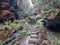 Stepping Stones on Greaves Creek near a cliff on the Grand Canyon Track in the Blue Mountains