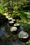 Stepping stones in japanese garden