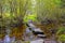 Stepping stones Newtonmore Scotland