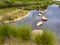 Stepping stones obstacle in pond