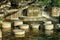 stepping stones in a pond or lake in a park or recreation area in the downtown city for travel