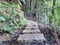 Stepping stones on the Prince Henry Cliff Track in the Blue Mountains of New south Wales