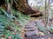 Stepping stones on the Prince Henry Cliff Track in the Blue Mountains of New south Wales