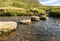 Stepping stones on South West Coast path crosses river