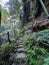 Stepping stones under a cliff wall on the Grand Canyon Track in the Blue Mountains