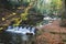 Steps across River Shimna in Tollymore Forest