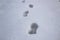 A steps against snow background. footprints on white snow background of boots. Human traces on snow