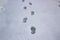 A steps against snow background. footprints on white snow background of boots. Human traces on snow