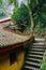 Steps by aged Chinese buildings on woody mountainside