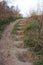 Steps built into a slope or dig up on a hill. Stairs in sloping ground. A stairway and path in the park, wood or forest.