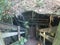 Steps down to cave in the Guajataca forest in Puerto Rico