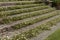 Steps in English country garden