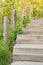 Steps going up amidst green foliage