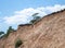 Steps going up the cliff, trees on the top of the cliff, and clouds in the sky