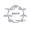 Steps of  HACCP implementation cycle
